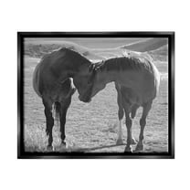 Stupell Industries Horses Hugging Photography Animals & Insects Photography Black Floater Framed Canvas Art Print Wall Art, 21 x 17
