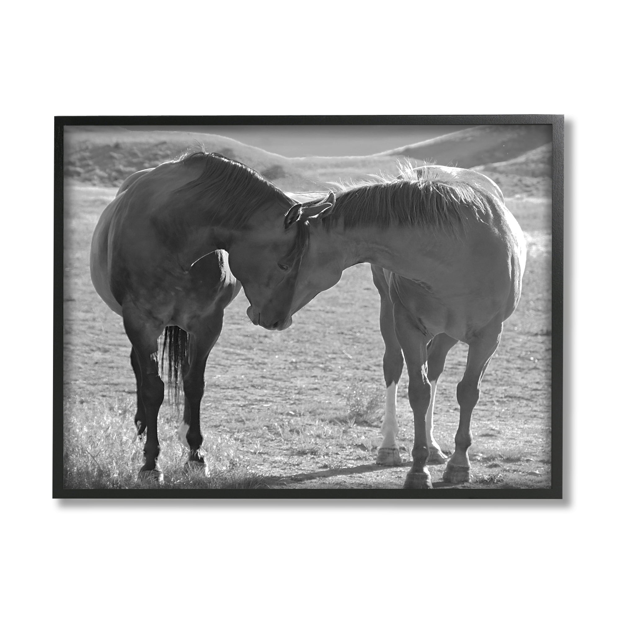 Stupell Industries Horses Hugging Photography Animals & Insects Photography Black Framed Art Print Wall Art, 20 x 16