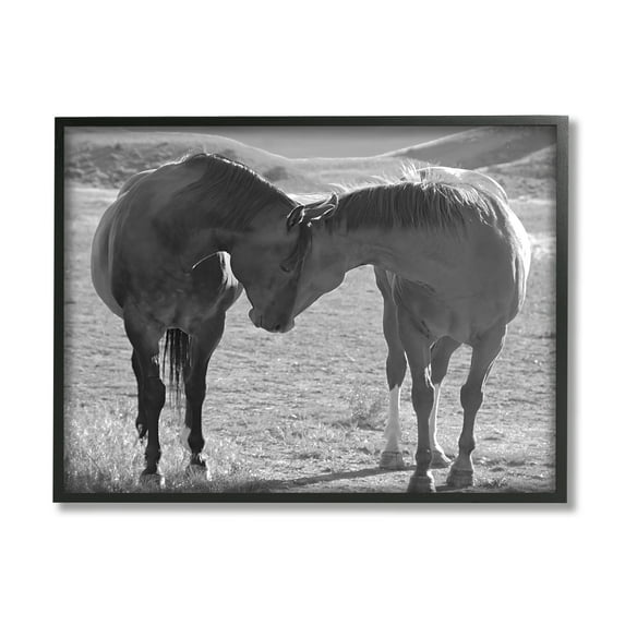 Stupell Industries Horses Hugging Photography Animals & Insects Photography Black Framed Art Print Wall Art, 30 x 24