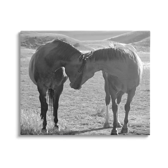 Stupell Industries Horses Hugging Photography Animals & Insects Photography Gallery Wrapped Canvas Art Print Wall Art, 40 x 30