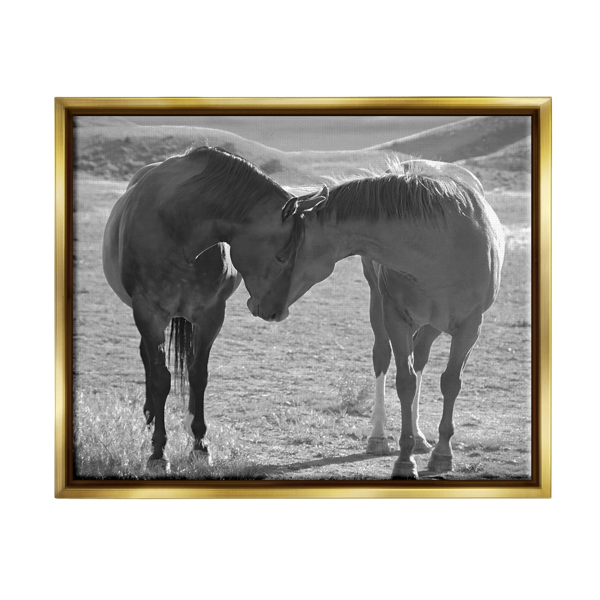 Stupell Industries Horses Hugging Photography Animals & Insects Photography Gold Floater Framed Canvas Art Print Wall Art, 31 x 25