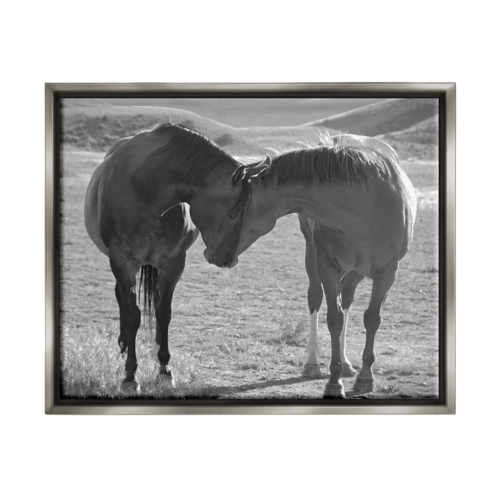 Stupell Industries Horses Hugging Photography Animals & Insects Photography Gray Floater Framed Canvas Art Print Wall Art, 21 x 17