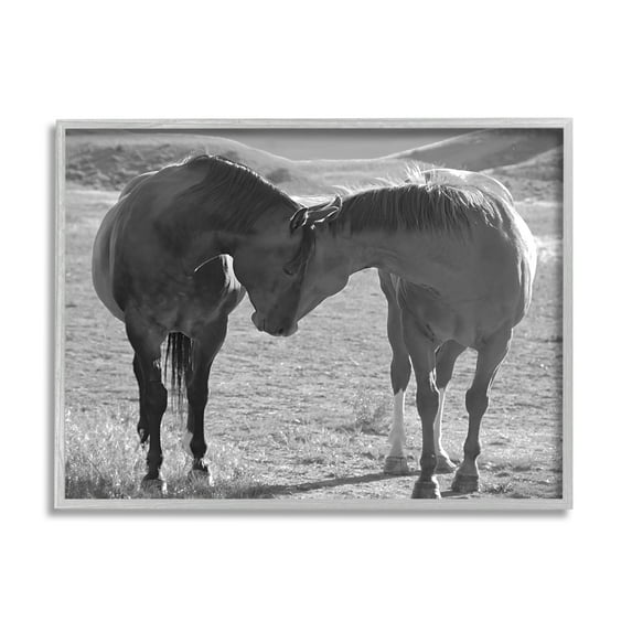 Stupell Industries Horses Hugging Photography Animals & Insects Photography Gray Framed Art Print Wall Art, 14 x 11