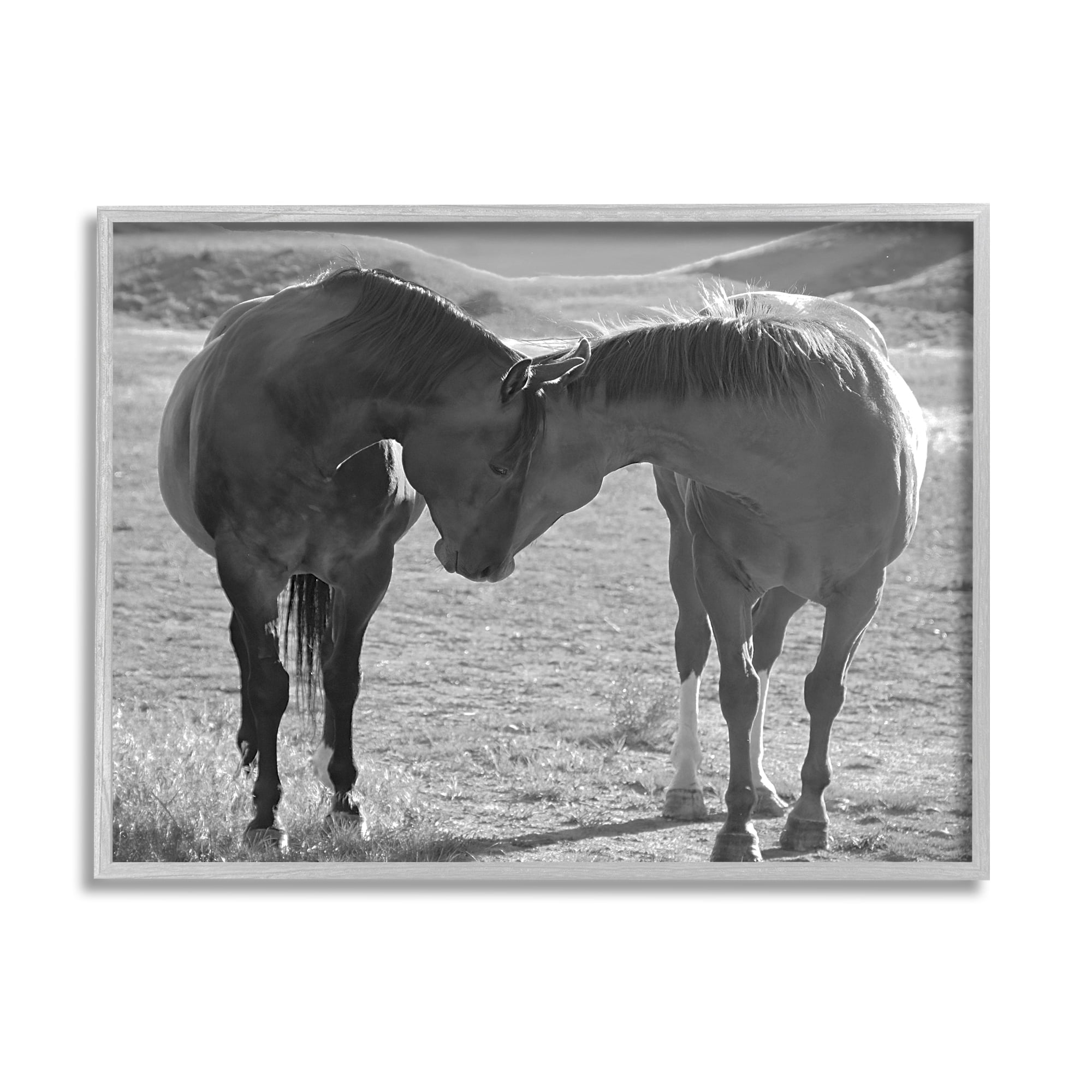 Stupell Industries Horses Hugging Photography Animals & Insects Photography Gray Framed Art Print Wall Art, 20 x 16