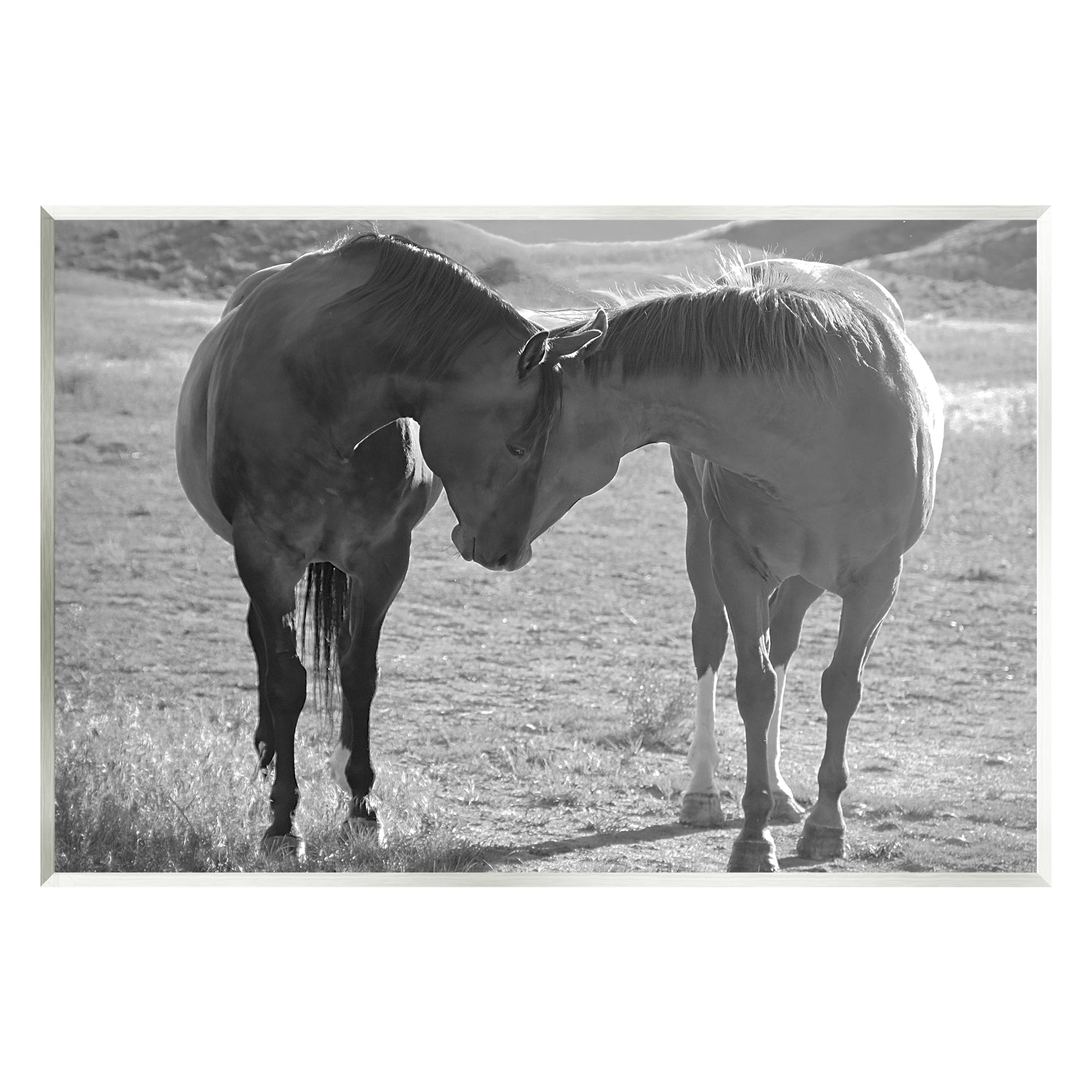Stupell Industries Horses Hugging Photography Animals & Insects Photography Unframed Art Print Wall Art, 19 x 13
