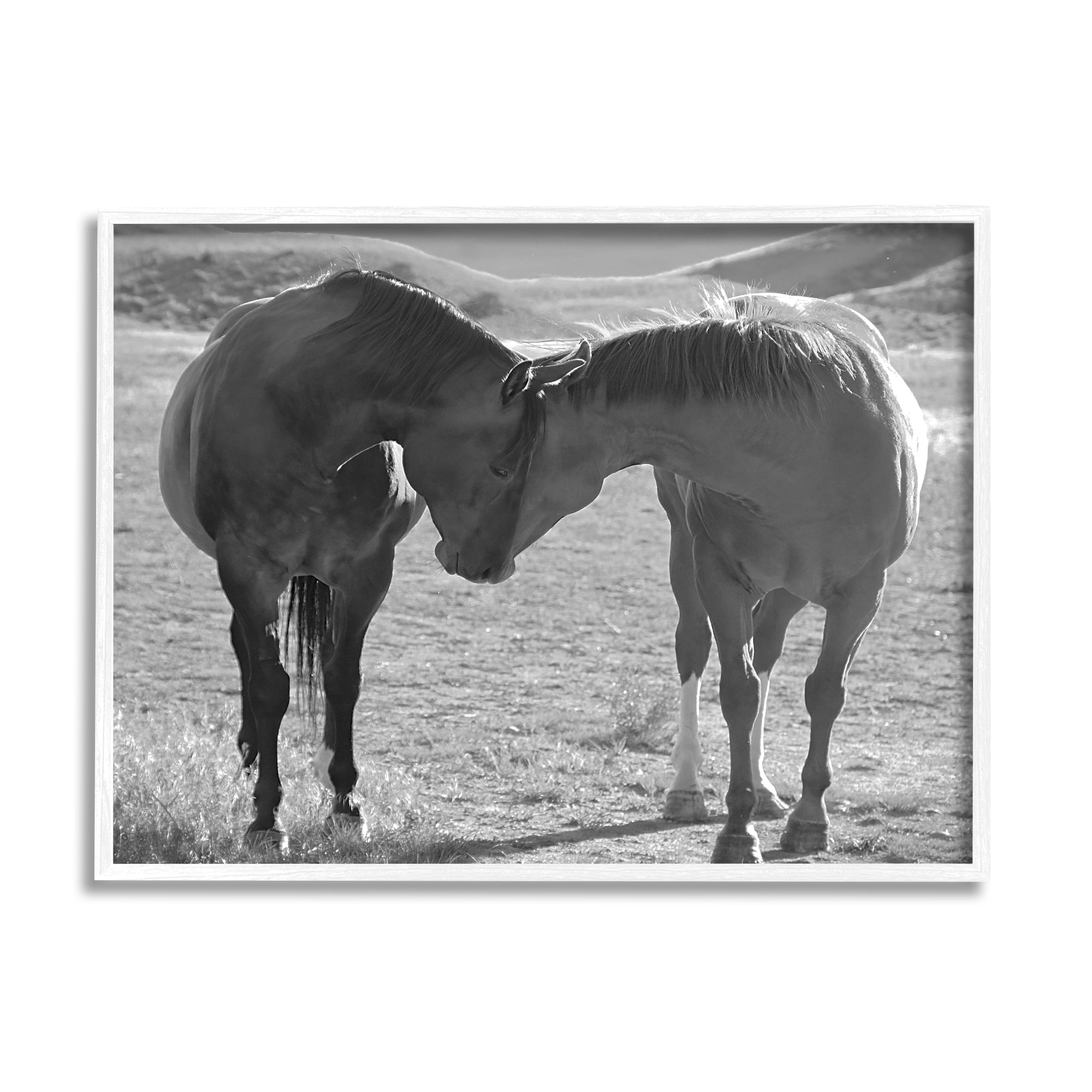 Stupell Industries Horses Hugging Photography Animals & Insects Photography White Framed Art Print Wall Art, 20 x 16