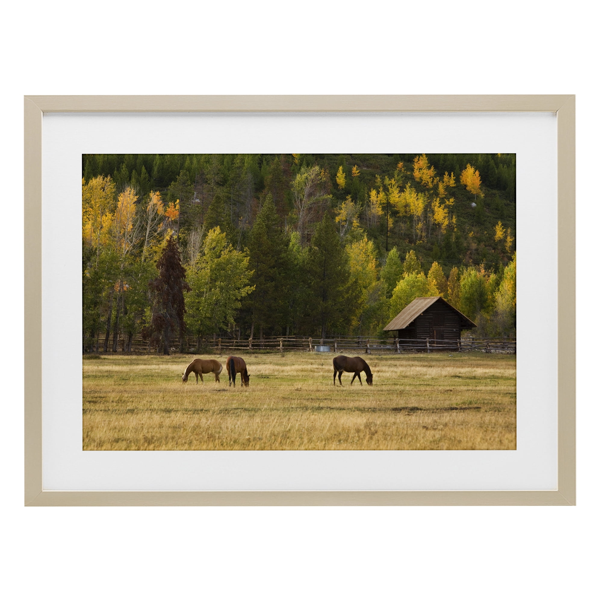 Stupell Industries Horses In Jackson Hole Birch Framed Print Under Glass, design by Scott Stulberg