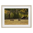 thumbnail image 1 of Stupell Industries Rustic Lodge Horses In Jackson Hole Birch Framed Print Under Glass, 20 x 14, by Scott Stulberg, 1 of 8