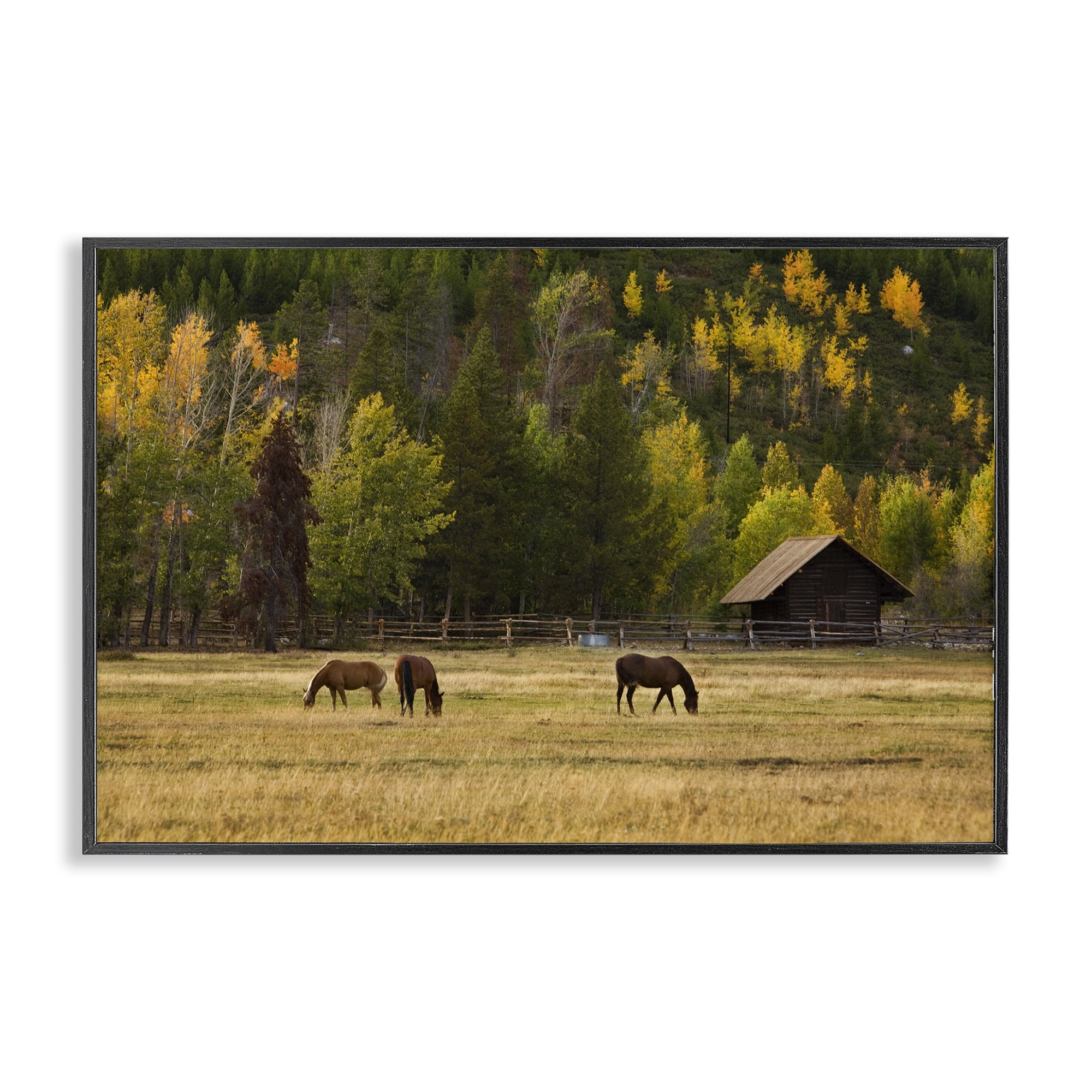 Stupell Industries Horses In Jackson Hole Black Framed Giclee Art, design by Scott Stulberg