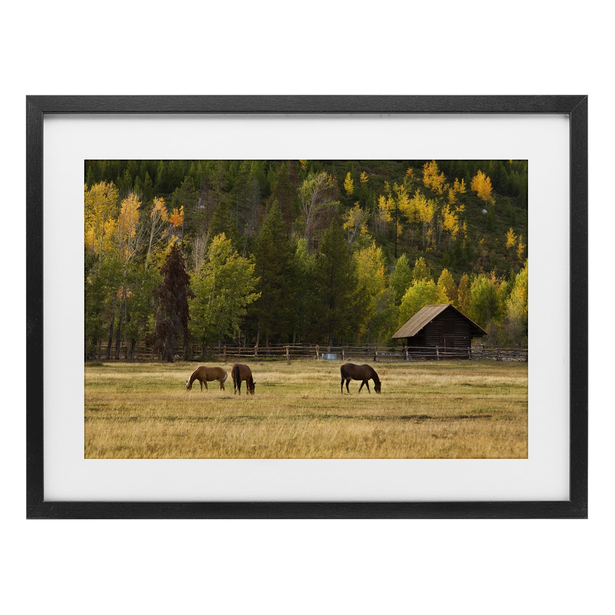 Stupell Industries Horses In Jackson Hole Black Framed Print Under Glass, design by Scott Stulberg