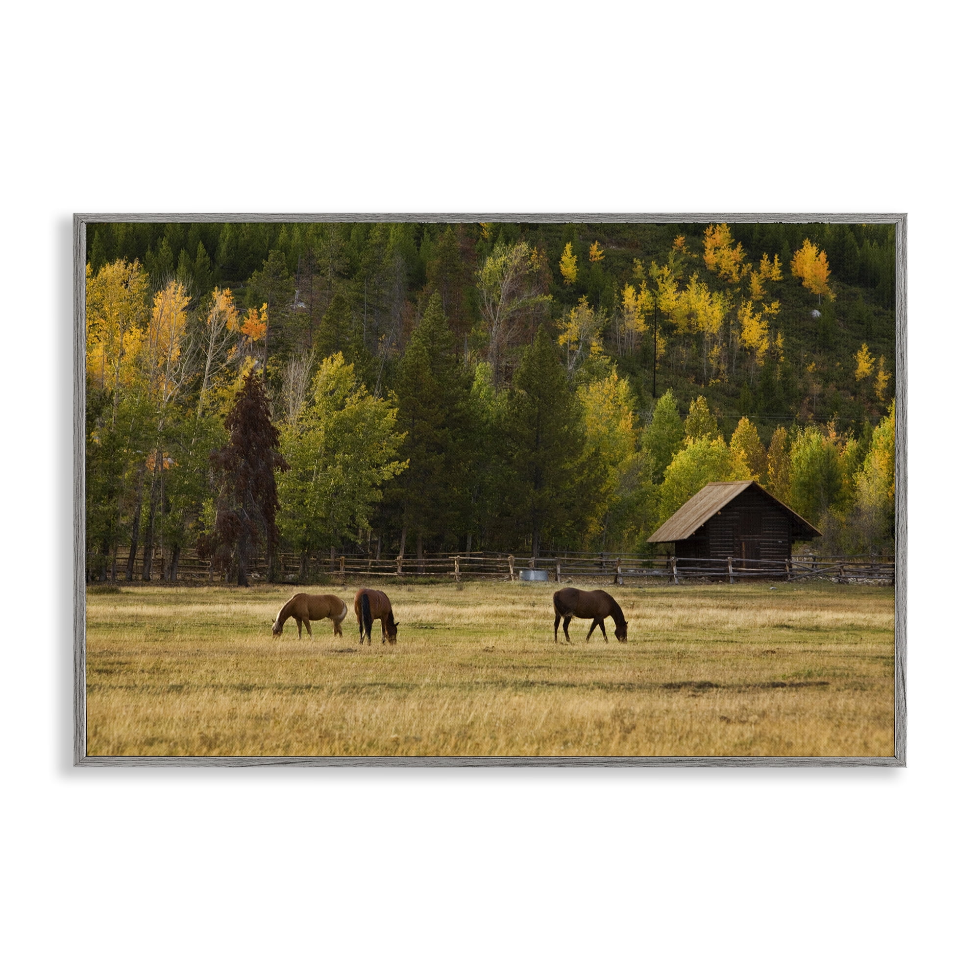 Stupell Industries Horses In Jackson Hole Gray Framed Giclee Art, design by Scott Stulberg