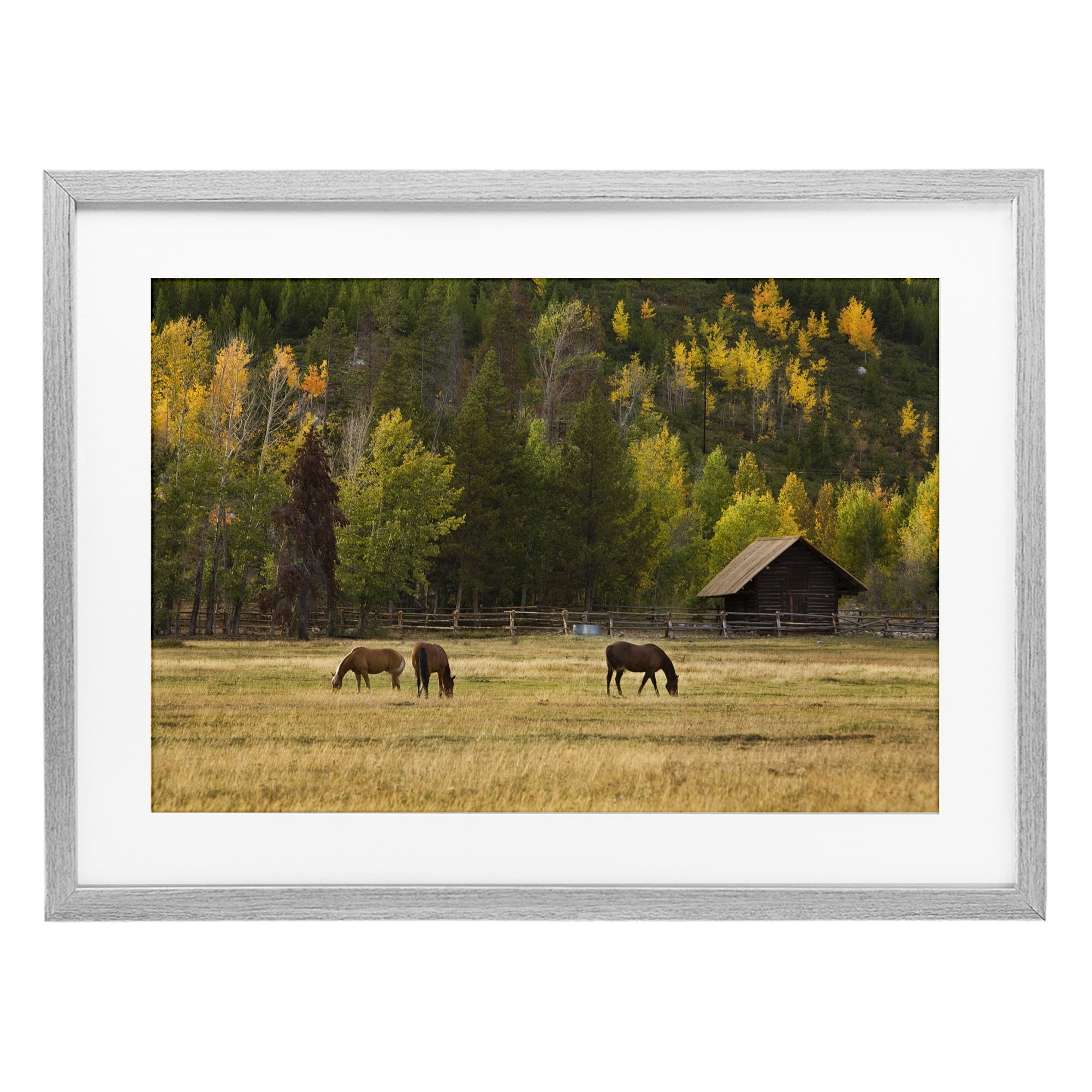 Stupell Industries Horses In Jackson Hole Gray Framed Print Under Glass, design by Scott Stulberg