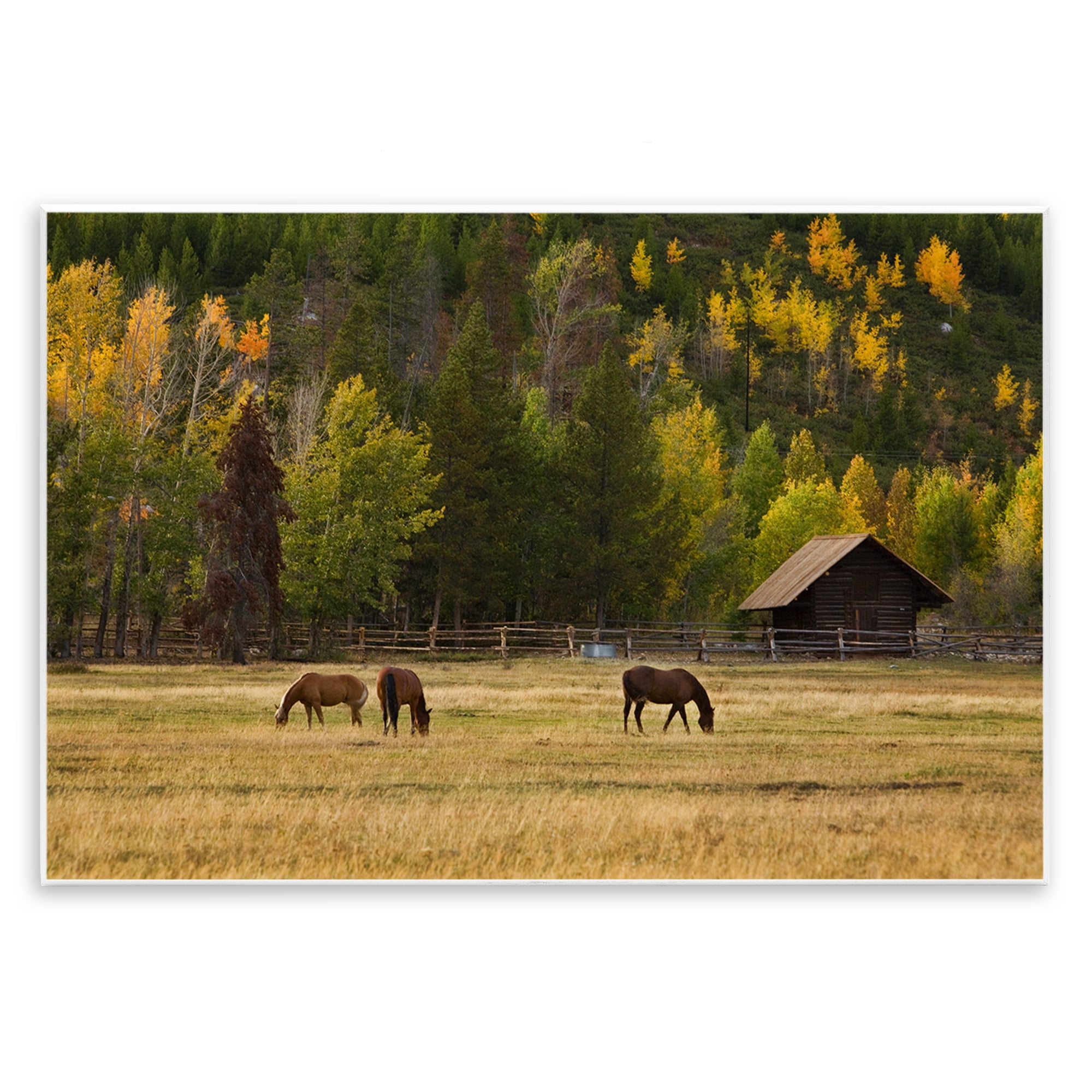 Stupell Industries Horses In Jackson Hole Wall Plaque Art, design by Scott Stulberg