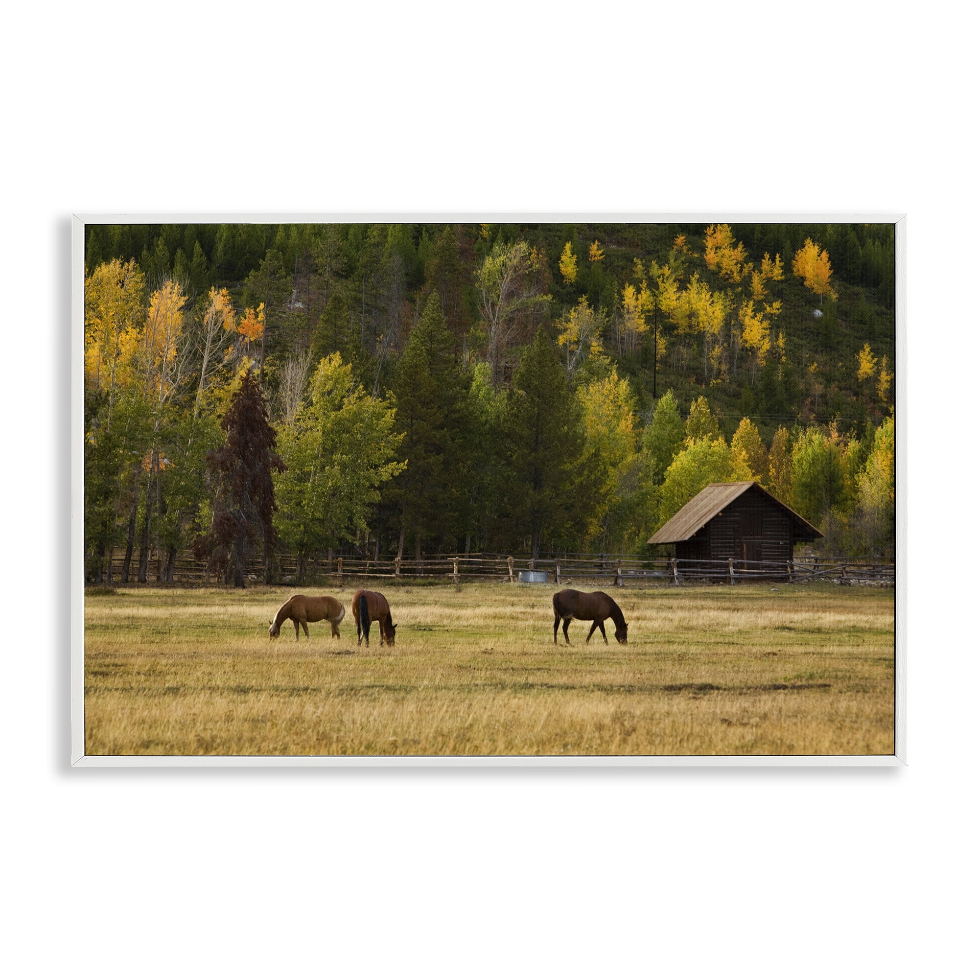 Stupell Industries Horses In Jackson Hole White Framed Giclee Art, design by Scott Stulberg