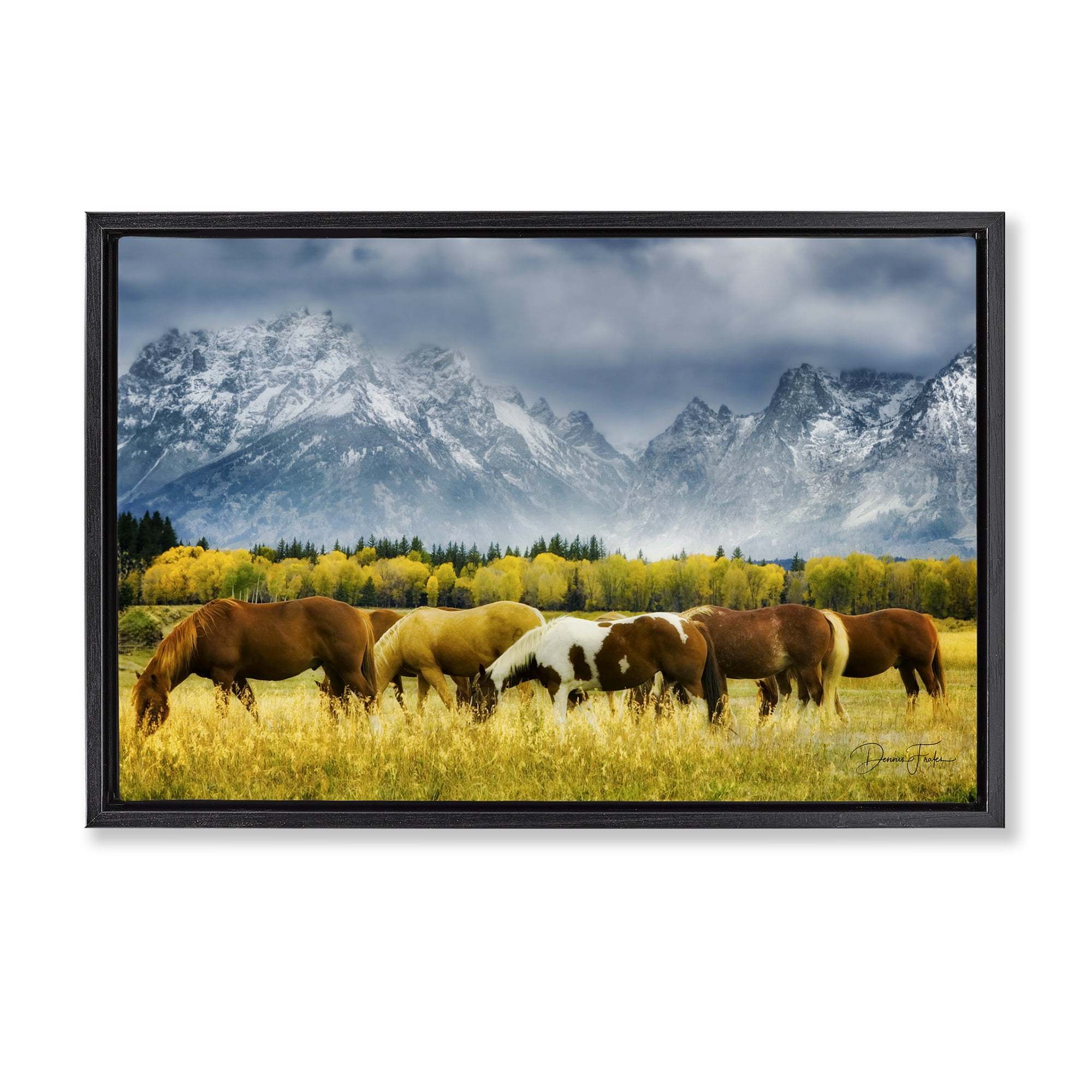 Stupell Industries Horses in Wilderness Landscape Painting Black Floater Framed Art Print Wall Art, 25 x 17