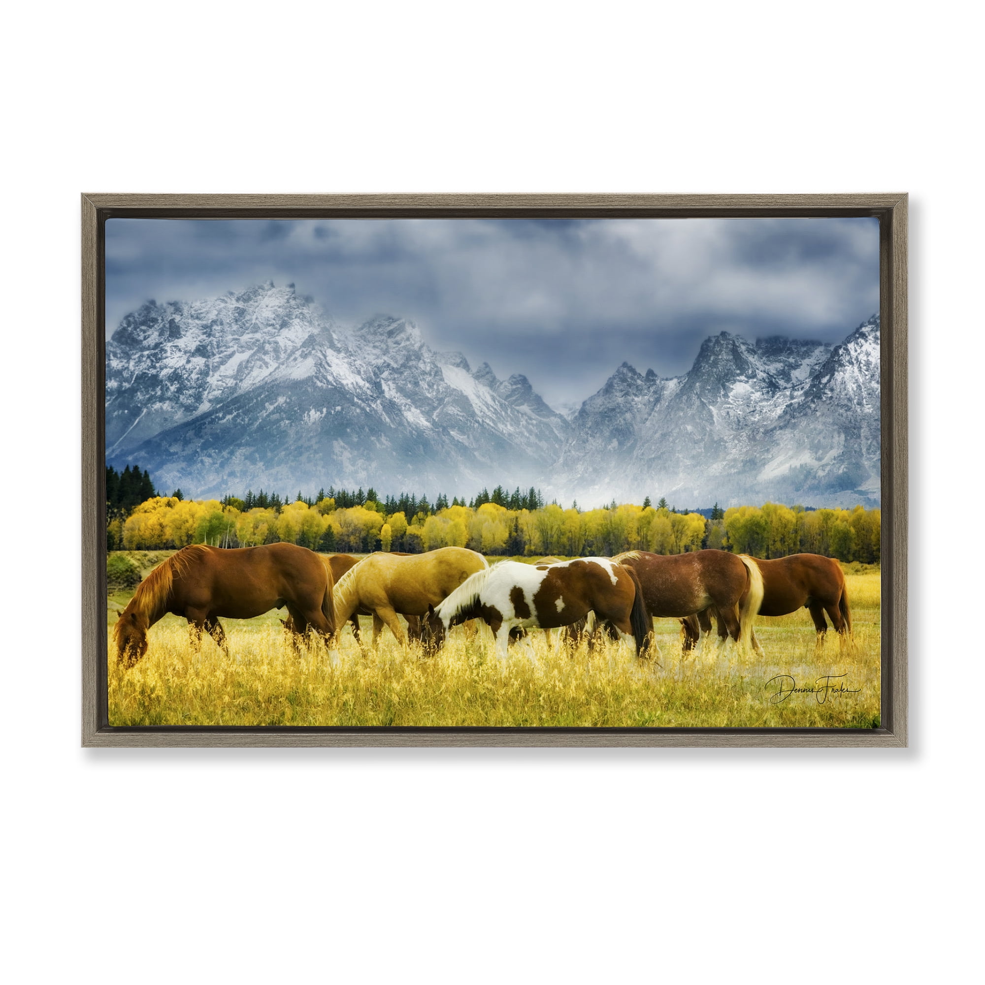 Brown Framed Horses in Wilderness Landscape Canvas Print, 25 x 17