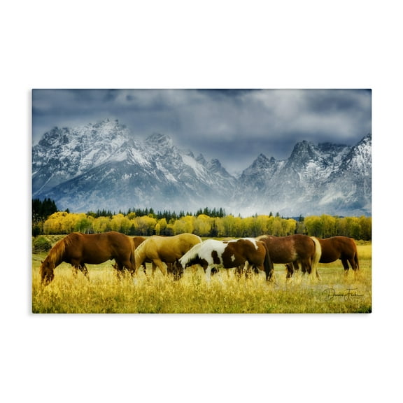 Stupell Industries Horses in Wilderness Landscape Painting Gallery Wrapped Canvas Art Print Wall Art, 24 x 16