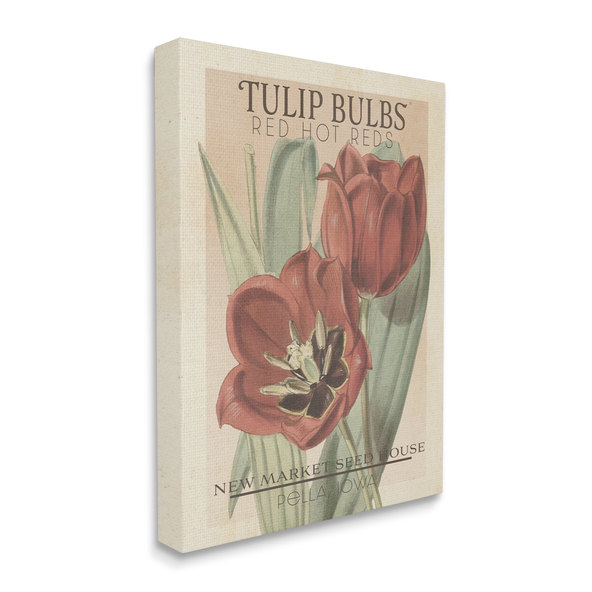 Stupell Industries Hot Red Tulip Bulbs Antique Floral Seed Packet Botanical & Floral Painting Gallery Wrapped Canvas Print Wall Art, 16 x 20