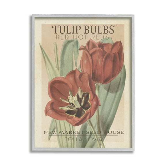 Stupell Industries Hot Red Tulip Bulbs Antique Floral Seed Packet Botanical & Floral Painting Gray Framed Art Print Wall Art, 11 x 14