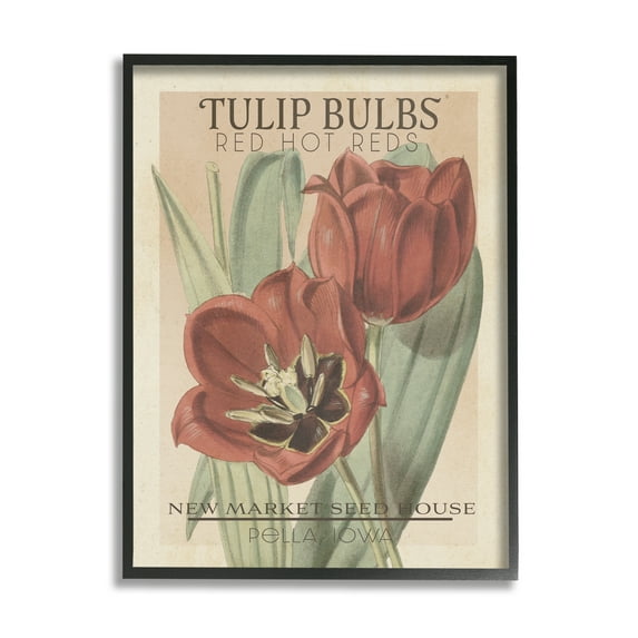 Stupell Industries Hot Red Tulip Bulbs Antique Floral Seed Packet Vintage Painting Black Framed Art Print Wall Art, 11 x 14, Design by Studio W