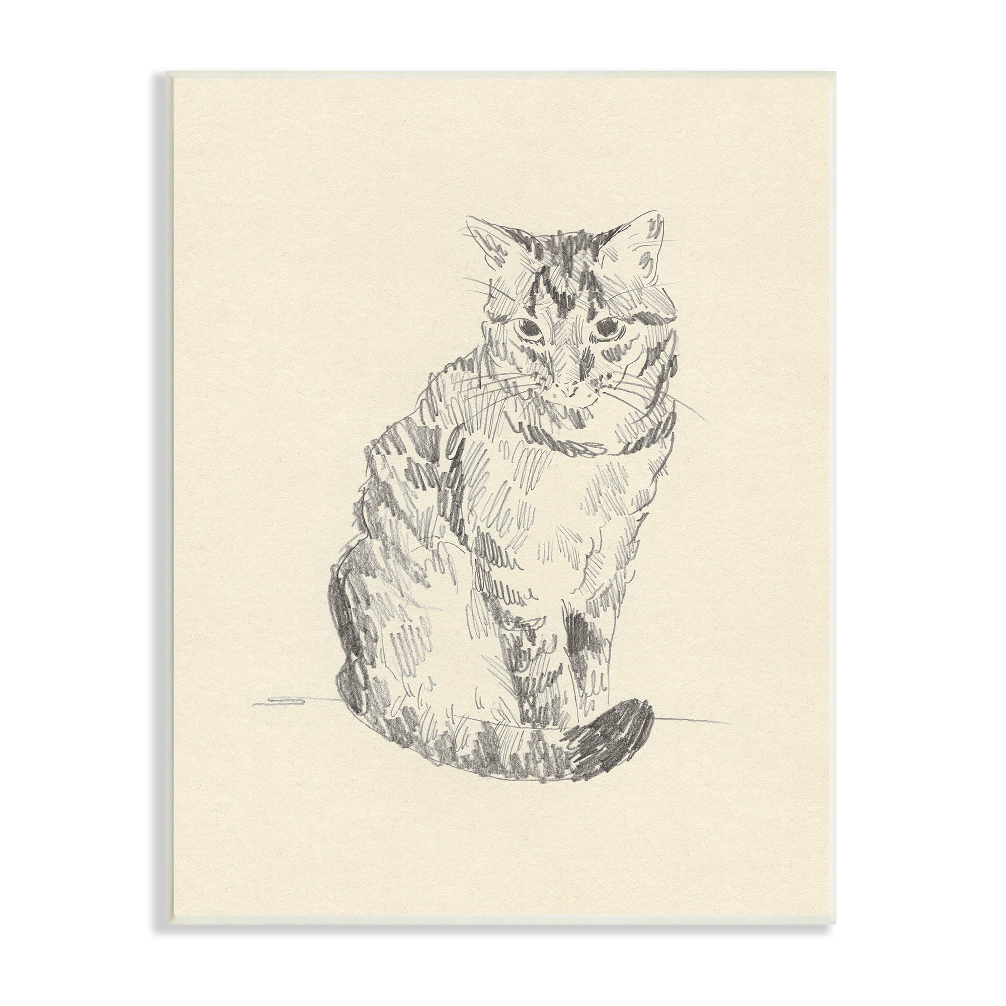 Stupell Industries House Cat Pet Portrait Pencil Sketch Traditional Illustration, 10 x 15, Design by Jacob Green