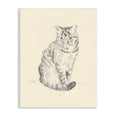 thumbnail image 1 of Stupell Industries House Cat Pet Portrait Pencil Sketch Traditional Illustration, 10 x 15, Design by Jacob Green, 1 of 6