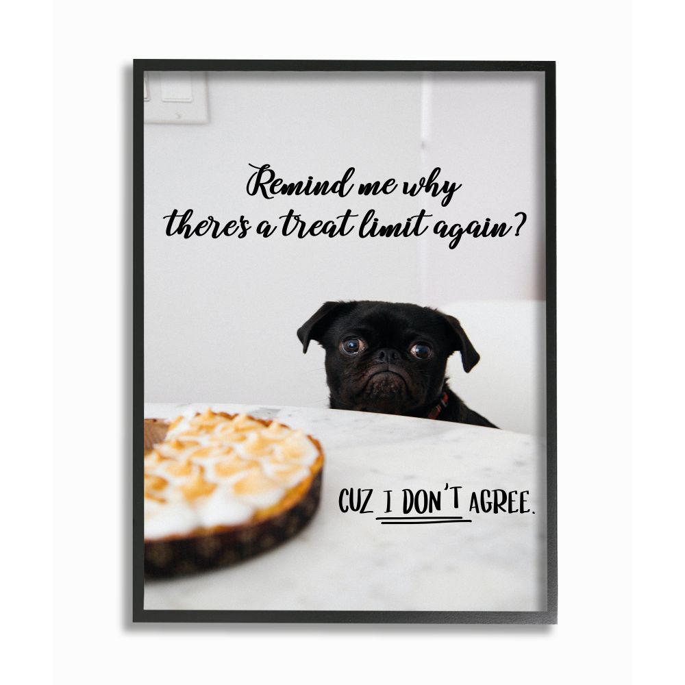 Stupell Industries House Pet Dog Treat Limit Phrase Sassy Kitchen Framed Wall Art Design by Ziwei Li, 11" x 14", Black Framed