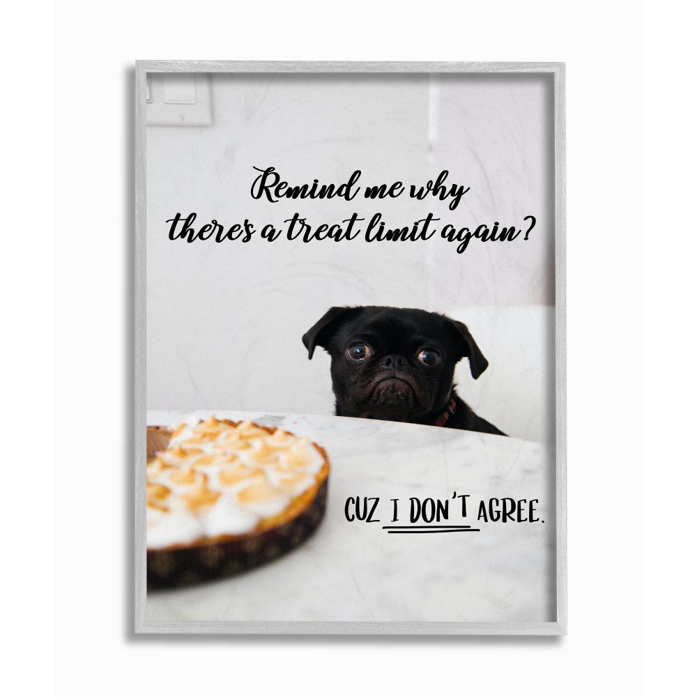 Stupell Industries House Pet Dog Treat Limit Phrase Sassy Kitchen Framed Wall Art Design by Ziwei Li, 16" x 20", Gray Framed