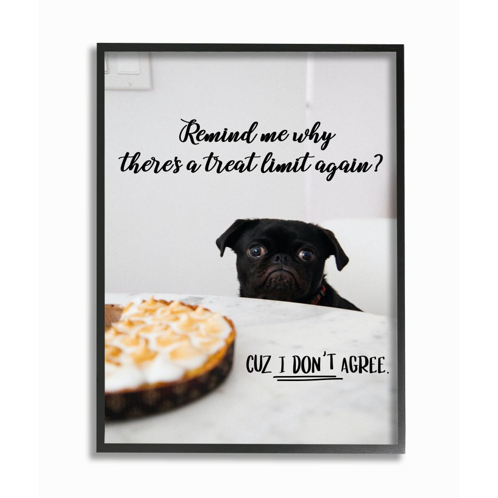 Stupell Industries House Pet Dog Treat Limit Phrase Sassy Kitchen Framed Wall Art Design by Ziwei Li, 24" x 30", Black Framed