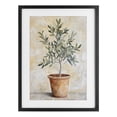 thumbnail image 1 of Stupell Industries Traditional House Plant in Terracotta Black Framed Print Under Glass, 14 x 20, by Petals Prints Design, 1 of 8