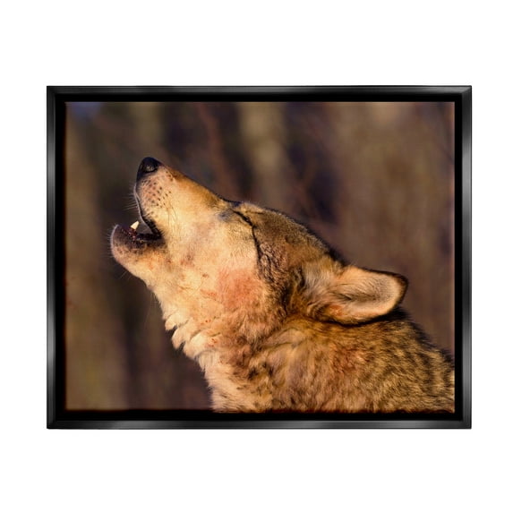 Stupell Industries Howling Wolf Photography Animals & Insects Photography Black Floater Framed Art Print Wall Art, 21 x 17