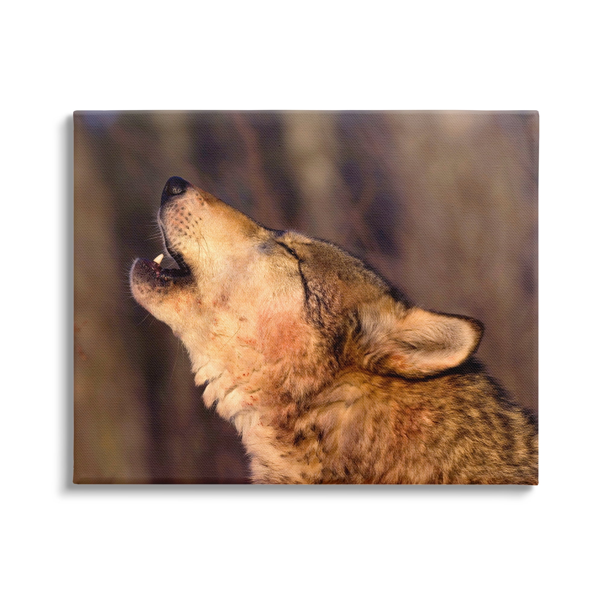 Stupell Industries Howling Wolf Photography Animals & Insects Photography Gallery Wrapped Canvas Print Wall Art, 40 x 30