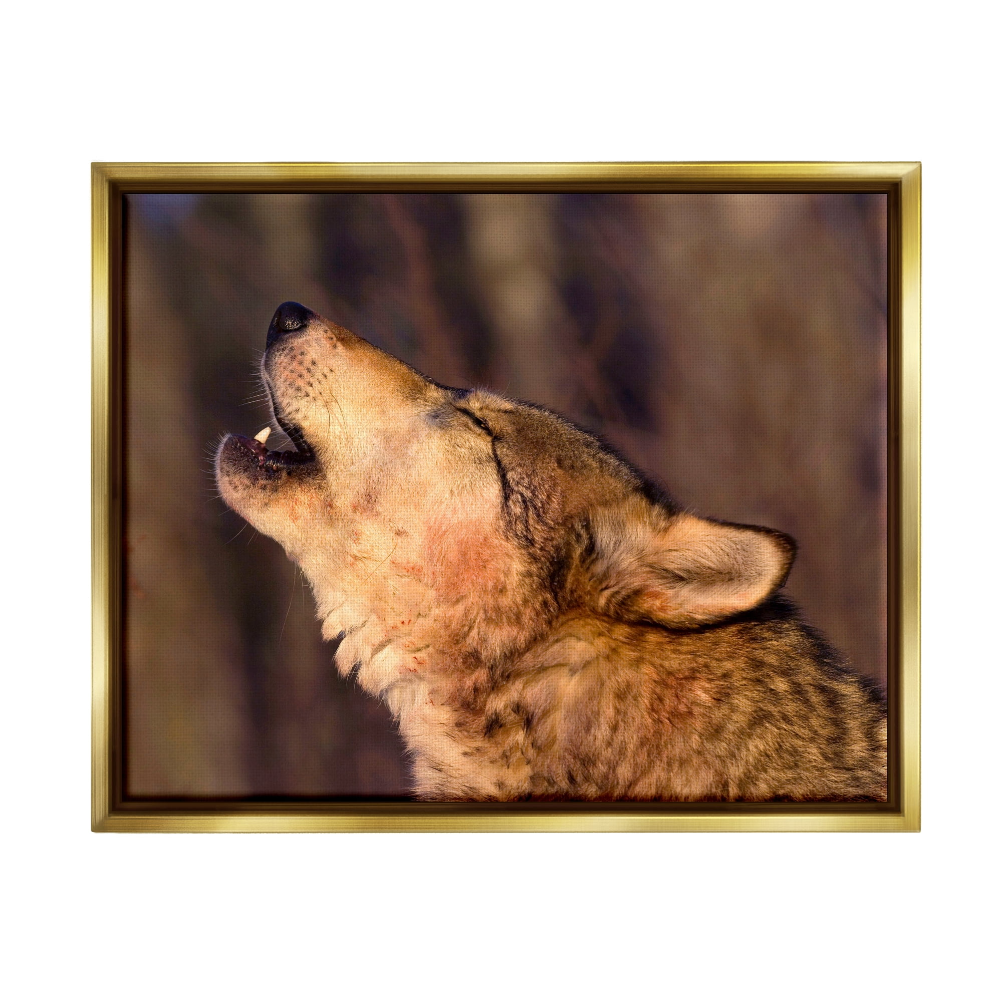 Stupell Industries Howling Wolf Photography Animals & Insects Photography Gold Floater Framed Art Print Wall Art, 31 x 25