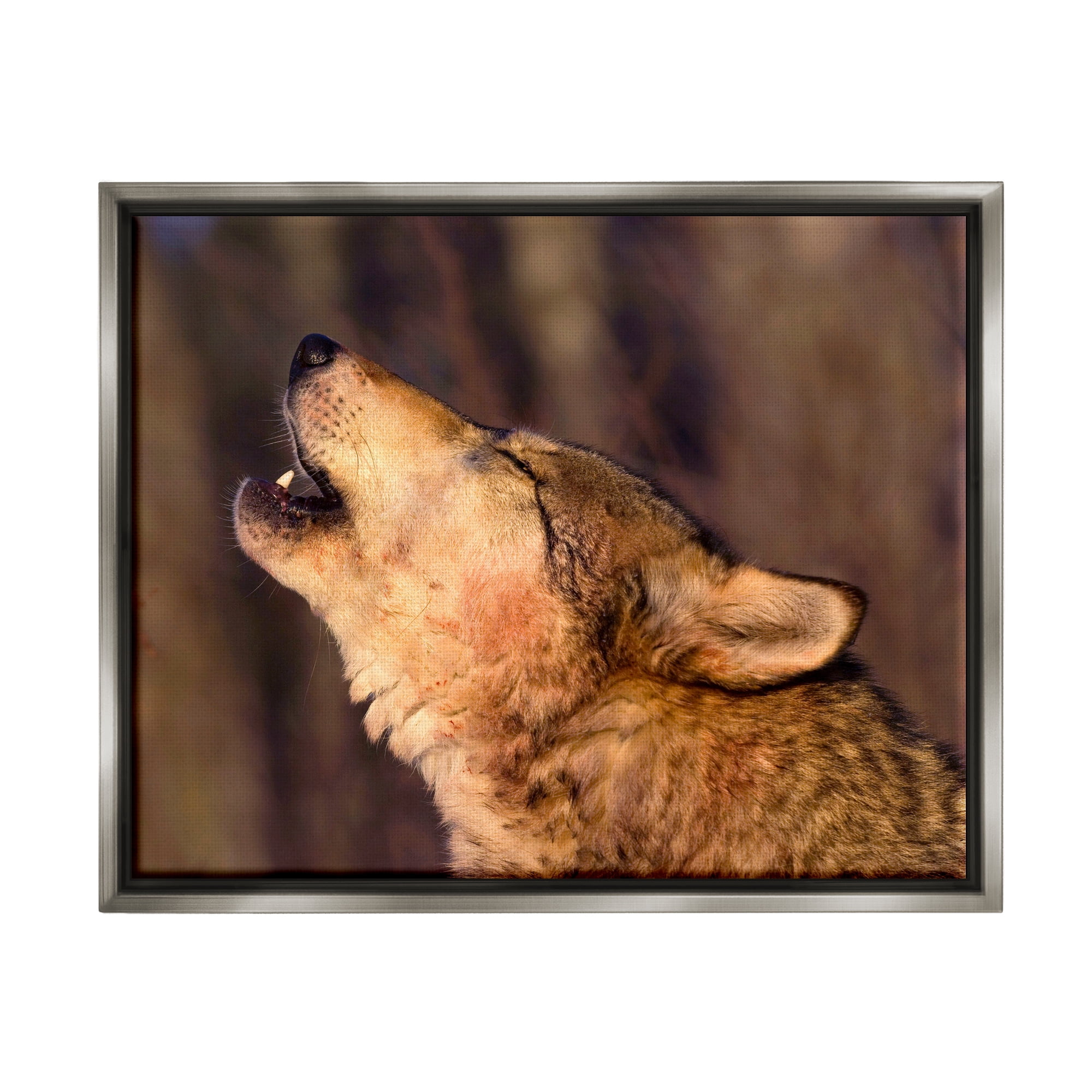 Stupell Industries Howling Wolf Photography Animals & Insects Photography Gray Floater Framed Art Print Wall Art, 31 x 25