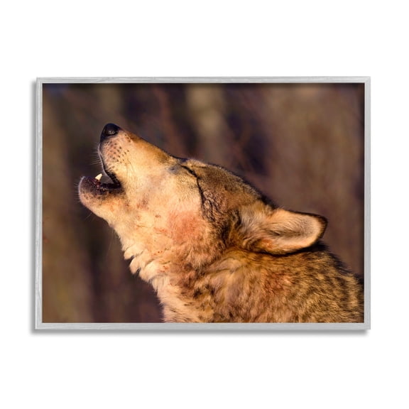 Stupell Industries Howling Wolf Photography Animals & Insects Photography Gray Framed Art Print Wall Art, 20 x 16