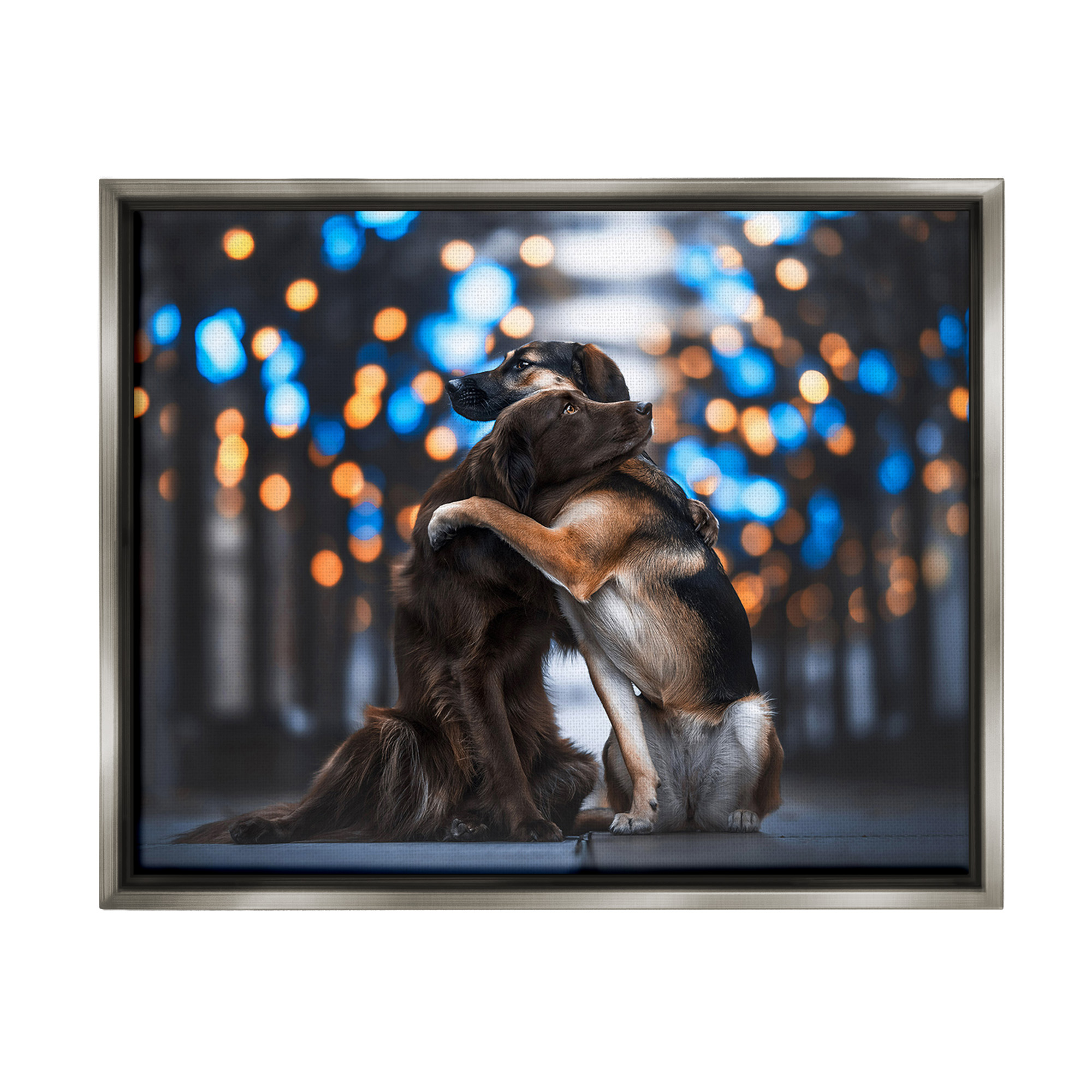 Stupell Industries Hugging Dogs with Bokeh Animals & Insects Painting Gray Floater Framed Canvas Art Print Wall Art, 31 x 25