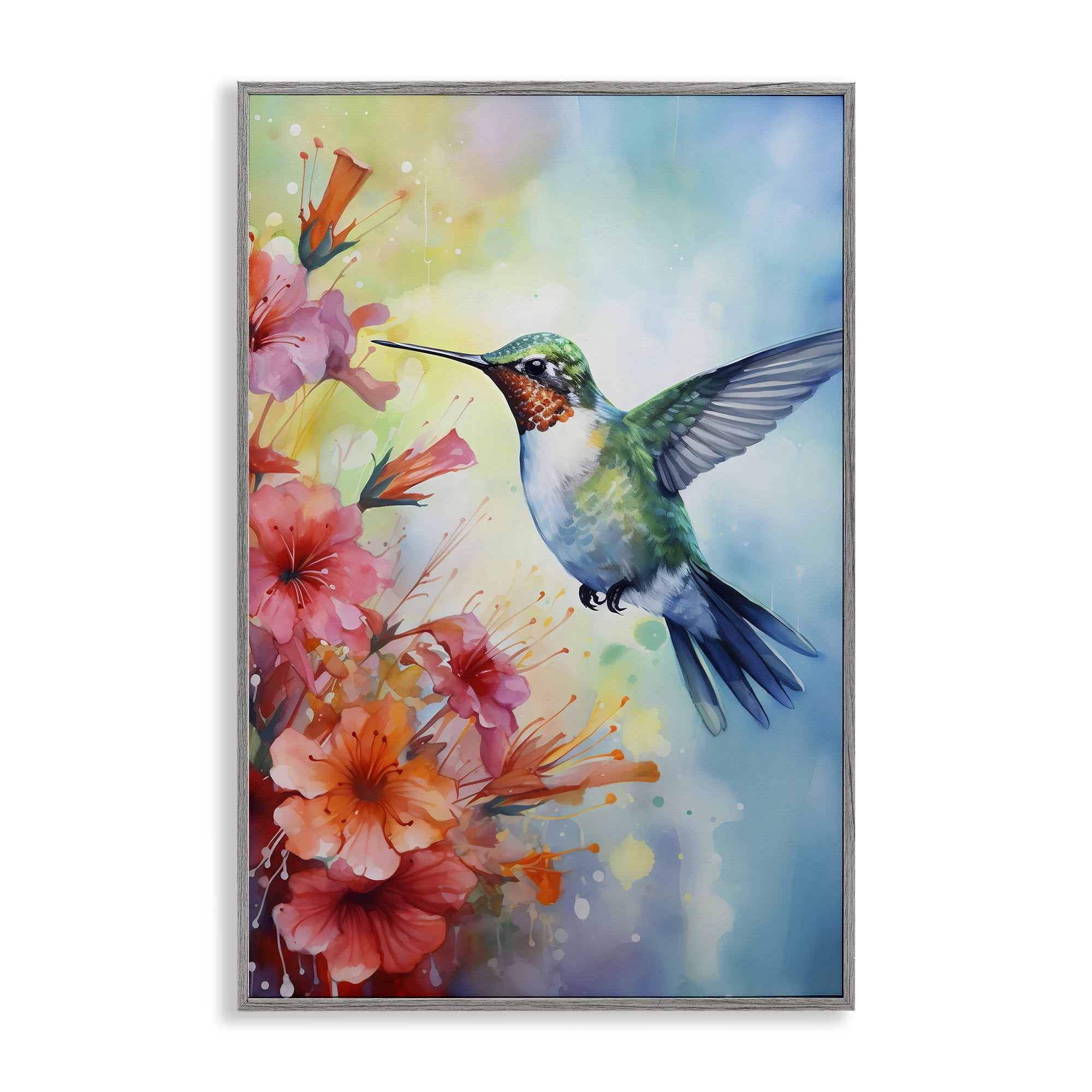Stupell Industries Hummingbird Hibiscus Serenade Gray Framed Giclee Art, design by Creative Studio