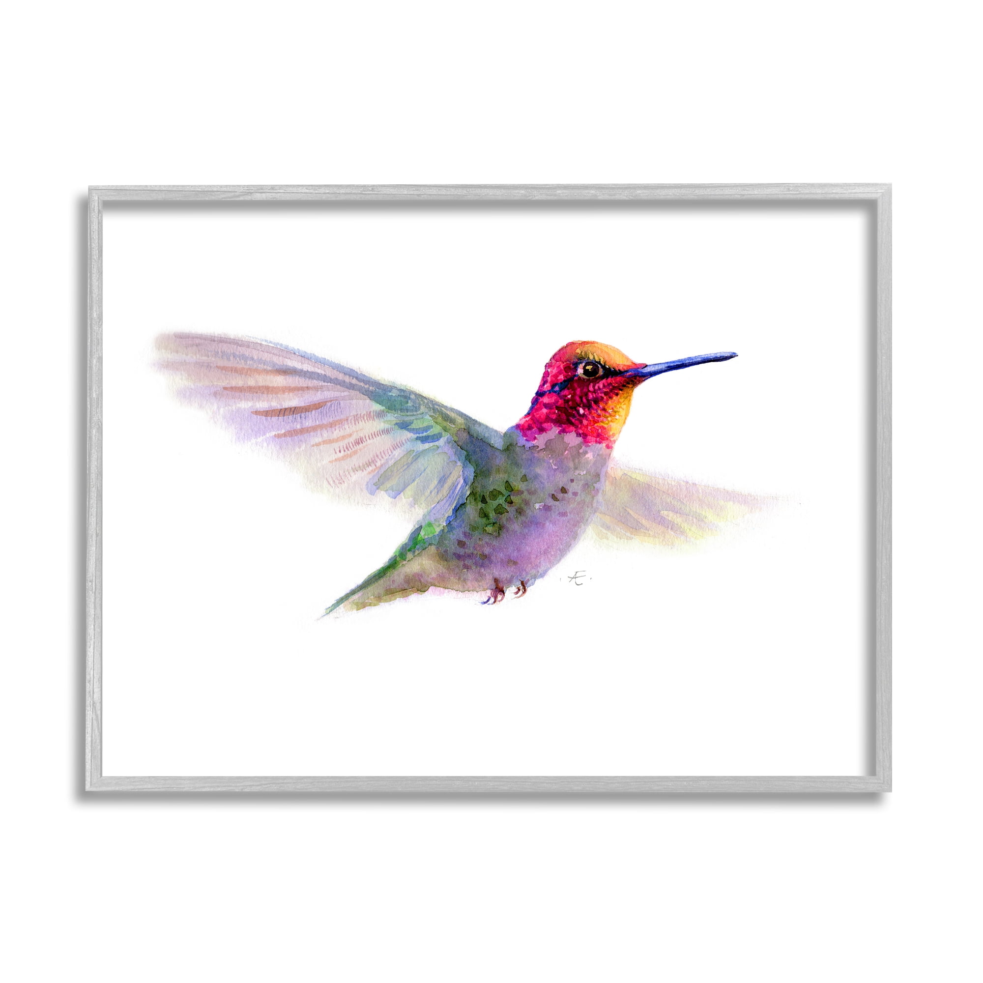 Stupell Industries Hummingbird in Flight Pink Purple Bird Watercolor Animals & Insects Painting Gray Framed Art Print Wall Art, 16 x 20