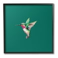 thumbnail image 1 of Stupell Industries Hummingbird with Tiara Animals & Insects Painting Black Framed Art Print Wall Art, 17 x 17, 1 of 9