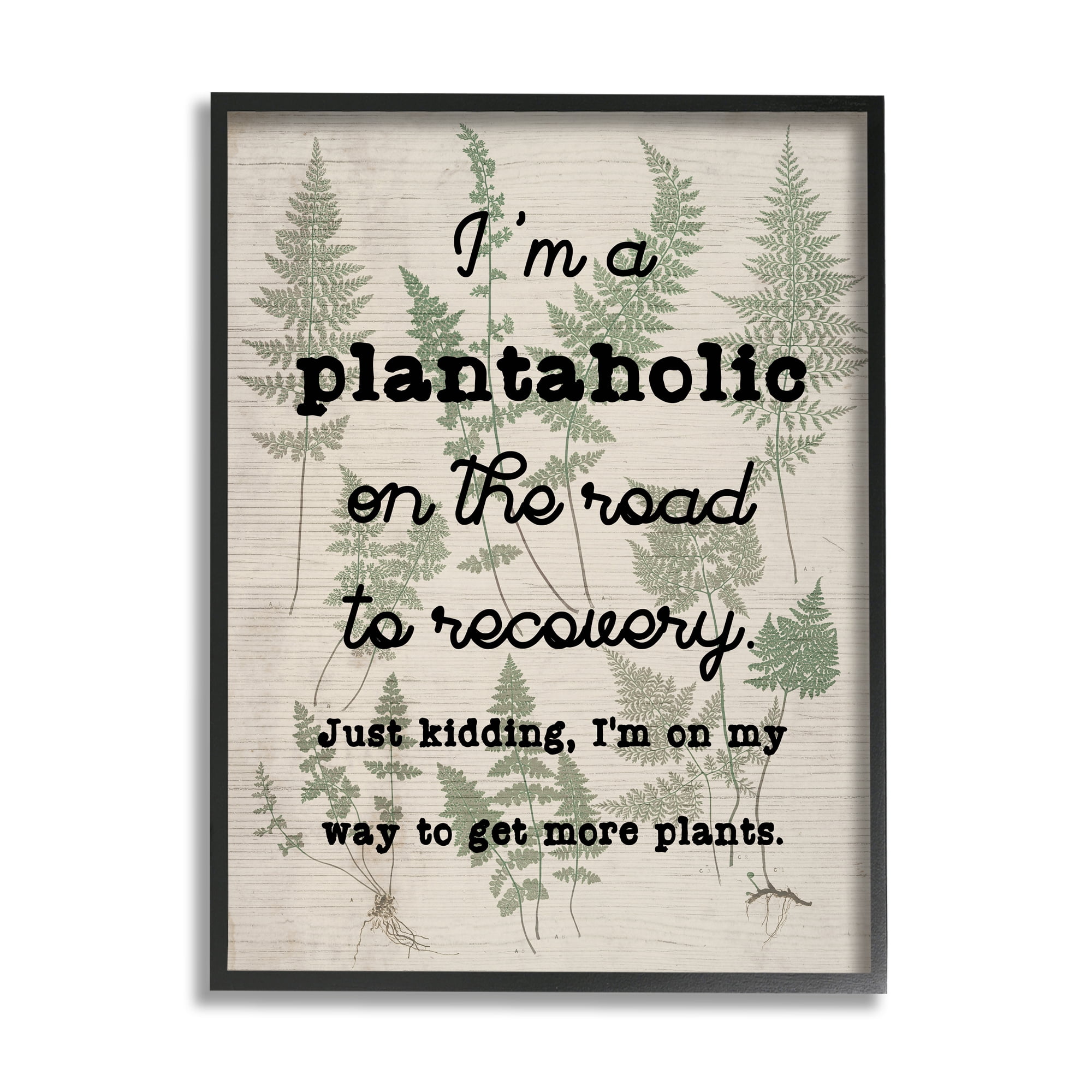 Stupell Industries Humorous Plantaholic Gardening Phrase Fern Plant Pattern Graphic Art Black Framed Art Print Wall Art, Design by Daphne Polselli