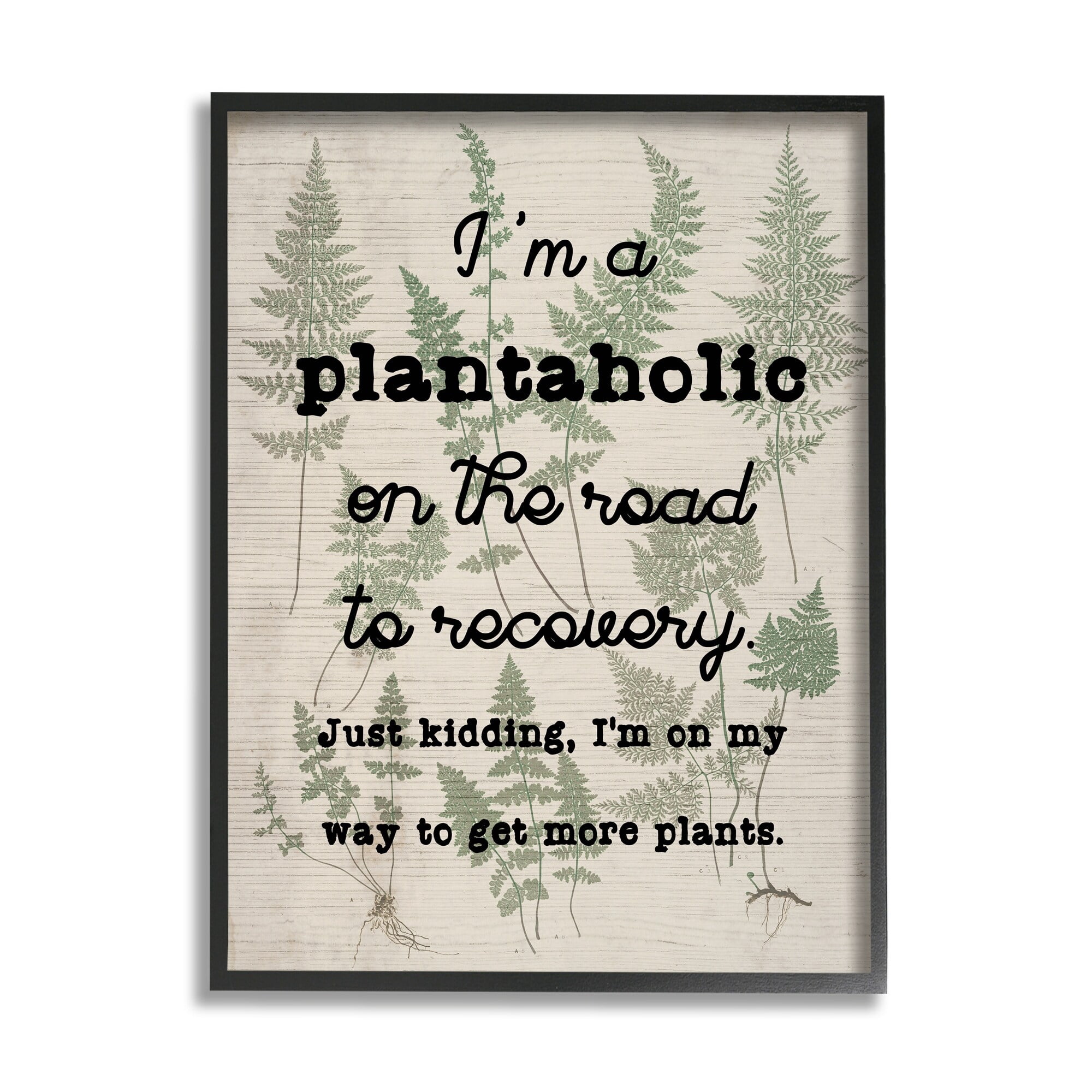 Stupell Industries Humorous Plantaholic Gardening Phrase Fern Plant Pattern Graphic Art Black Framed Art Print Wall Art, Design by Daphne Polselli