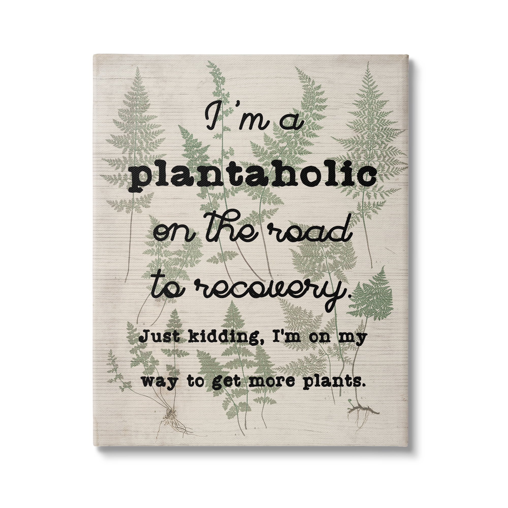 Stupell Industries Humorous Plantaholic Gardening Phrase Fern Plant Pattern Graphic Art Gallery Wrapped Canvas Print Wall Art, Design by Daphne Polselli
