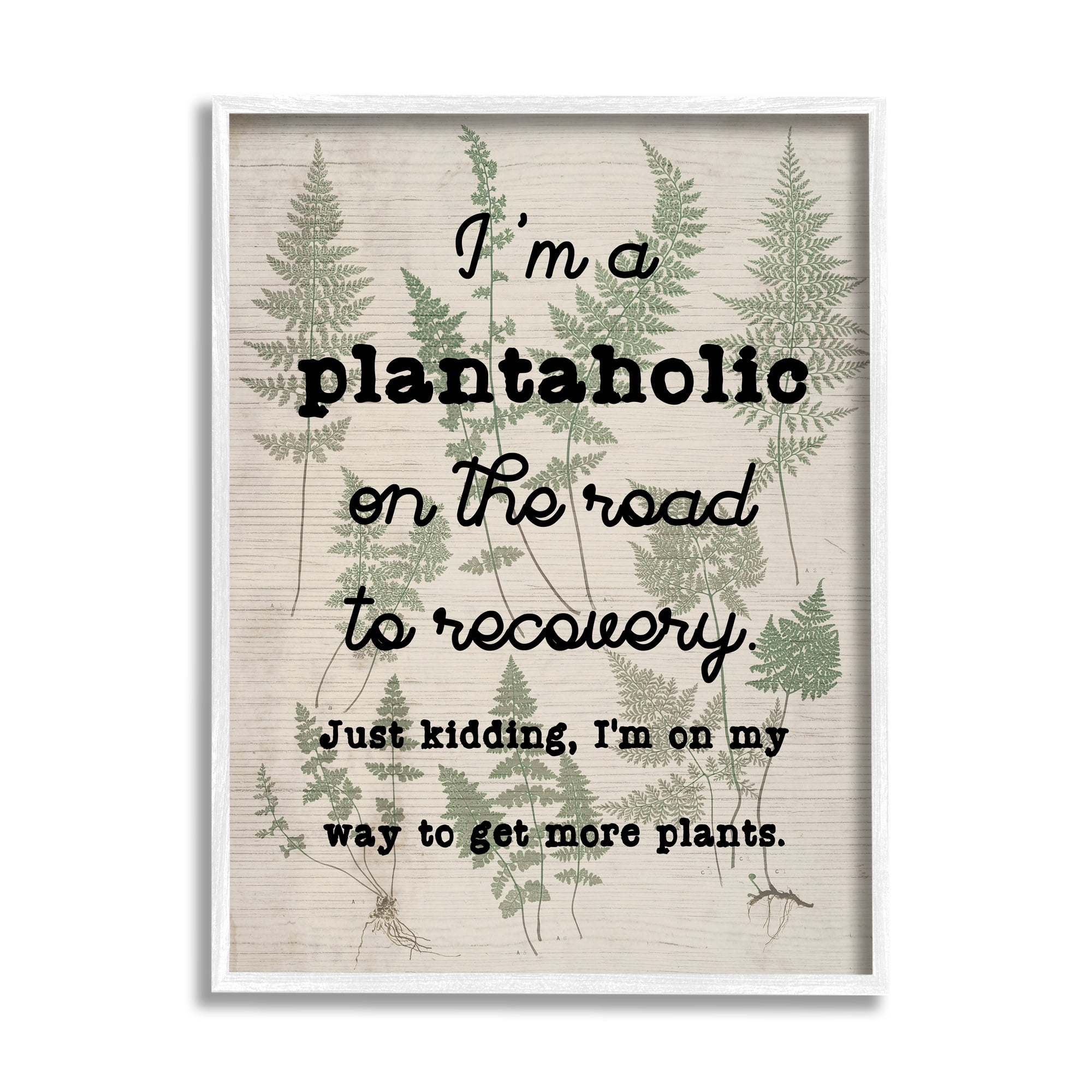 Stupell Industries Humorous Plantaholic Gardening Phrase Fern Plant Pattern Graphic Art White Framed Art Print Wall Art, Design by Daphne Polselli