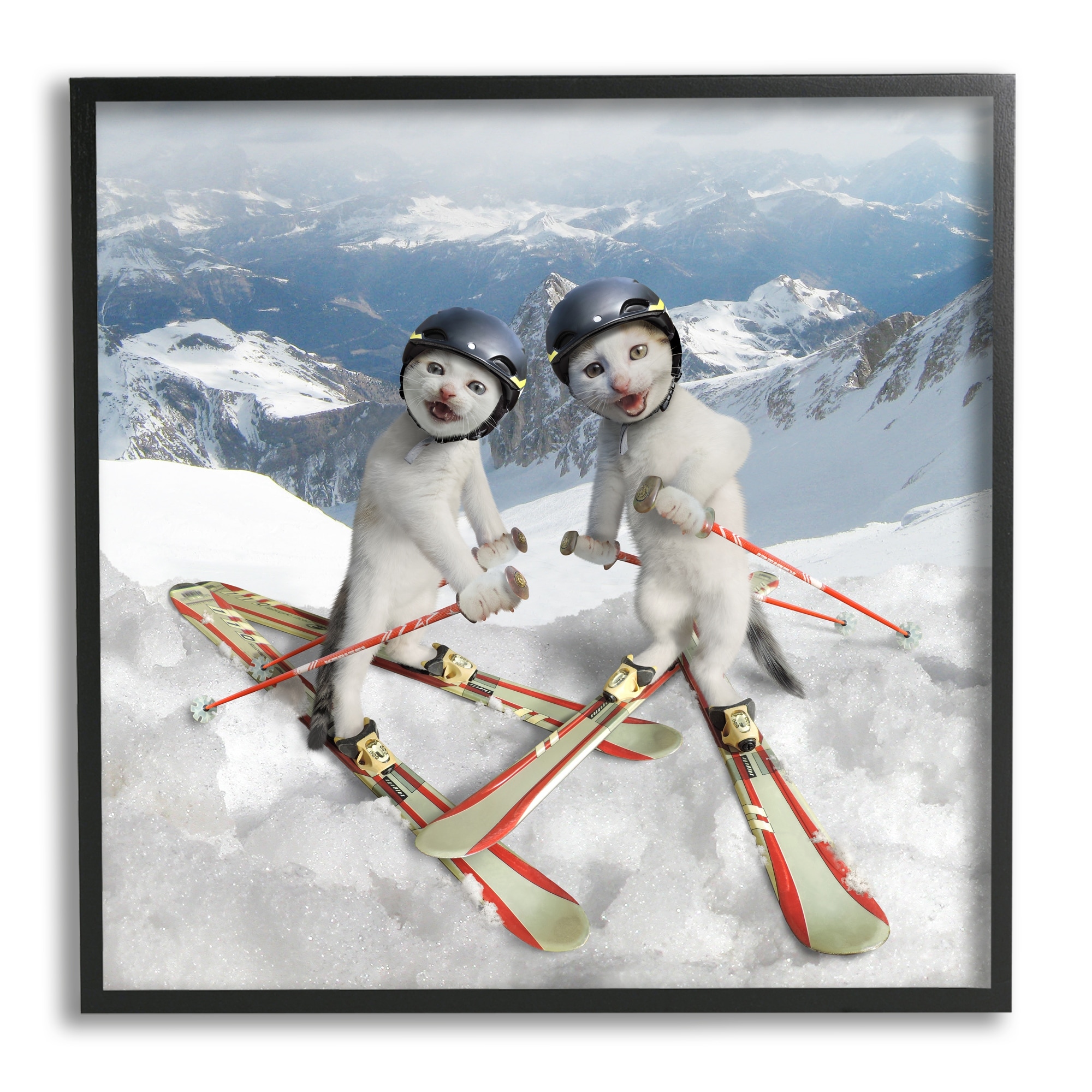 Stupell Industries Humorous White Cats Skiing Gear Snowcapped Mountains Graphic Art Black Framed Art Print Wall Art, Design by Chiara