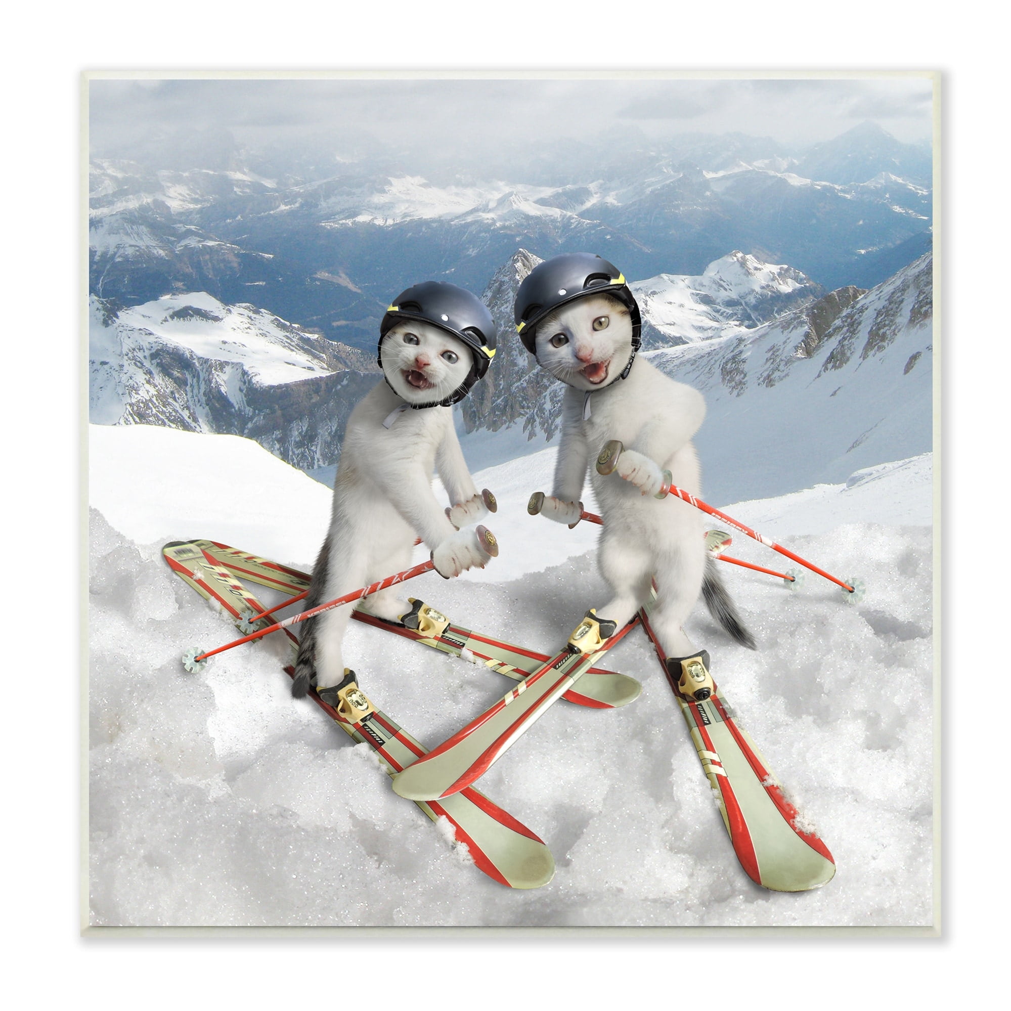 Stupell Industries Humorous White Cats Skiing Gear Snowcapped Mountains Graphic Art Unframed Art Print Wall Art, Design by Chiara