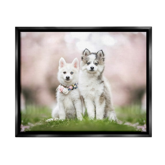 Stupell Industries Husky Puppies in Meadow Animals & Insects Painting Black Floater Framed Canvas Art Print Wall Art, 21 x 17