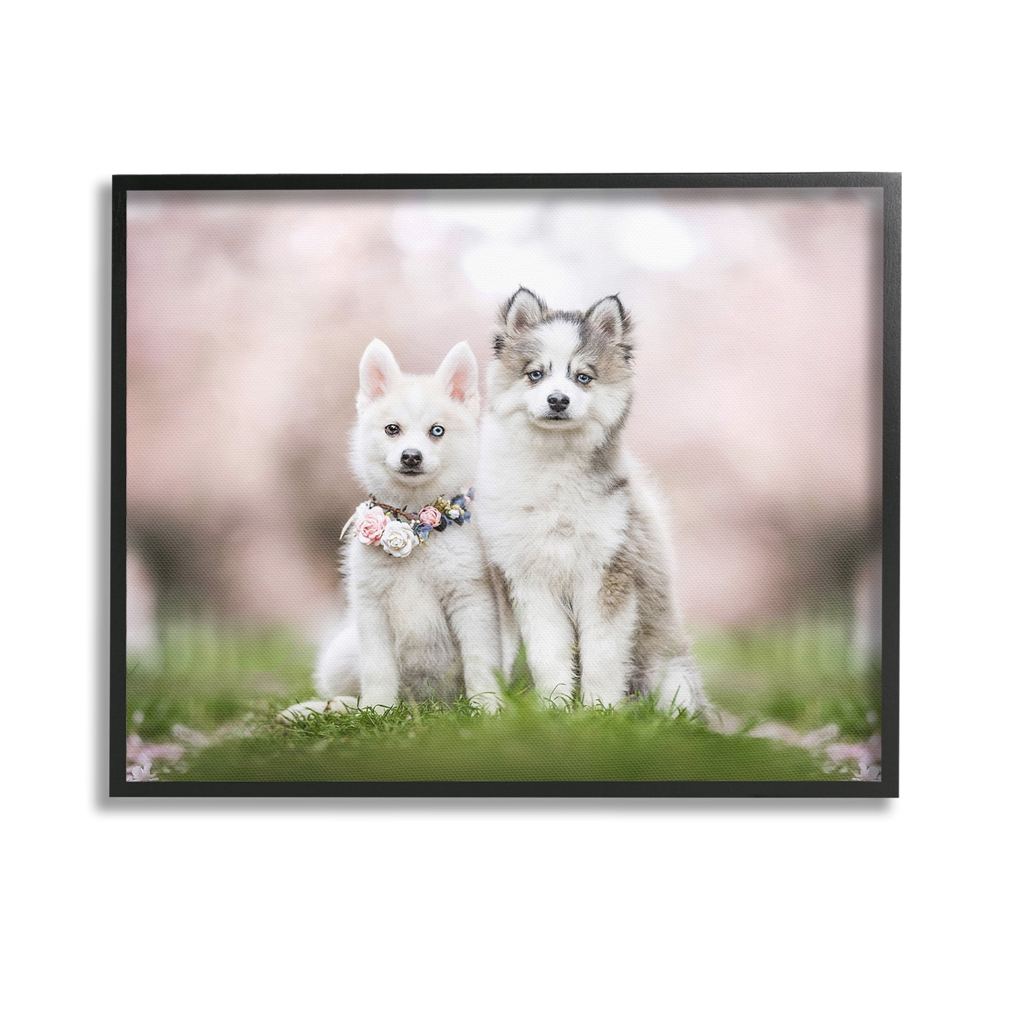 Stupell Industries Husky Puppies in Meadow Animals & Insects Painting Black Framed Art Print Wall Art, 14 x 11