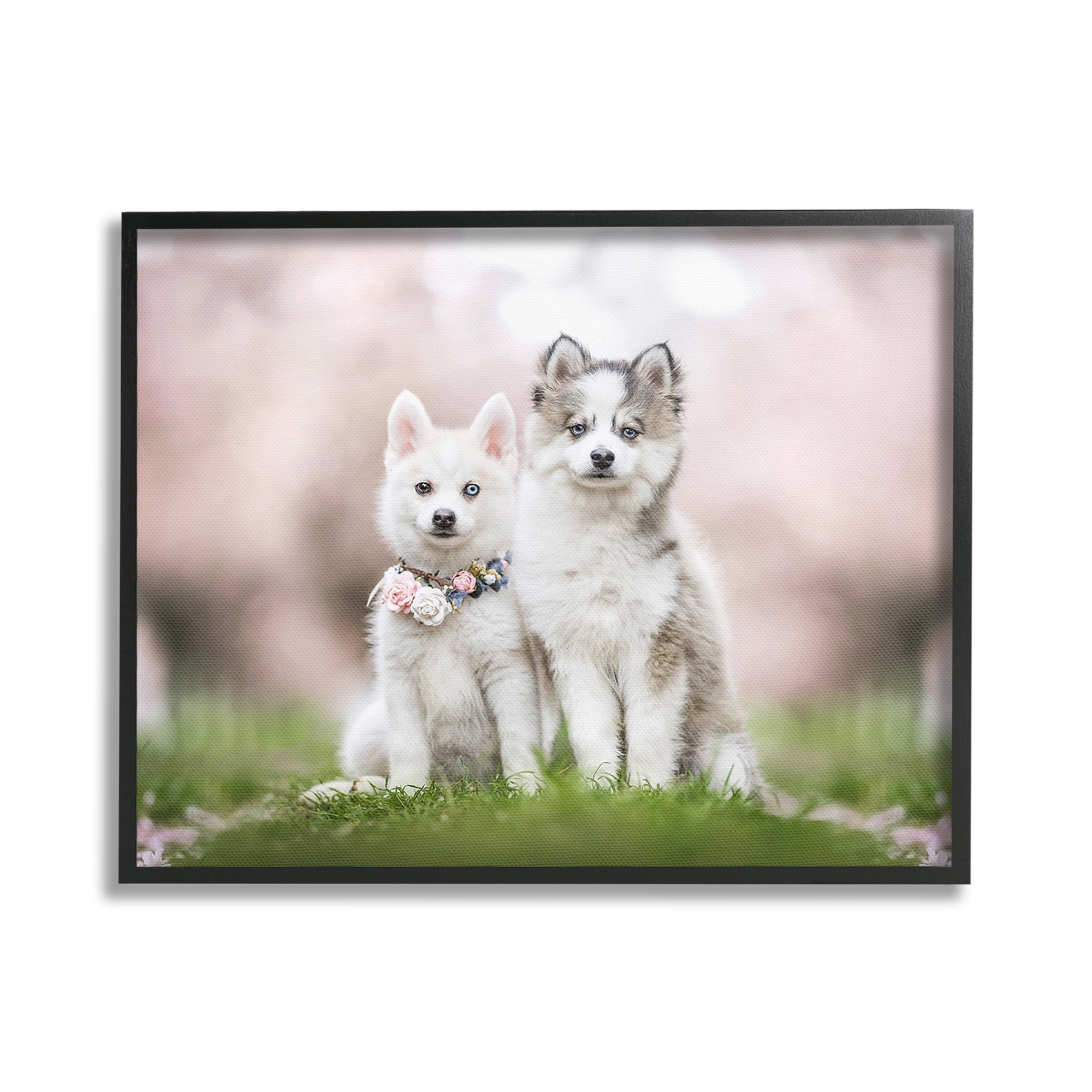 Stupell Industries Husky Puppies in Meadow Animals & Insects Painting Black Framed Art Print Wall Art, 20 x 16