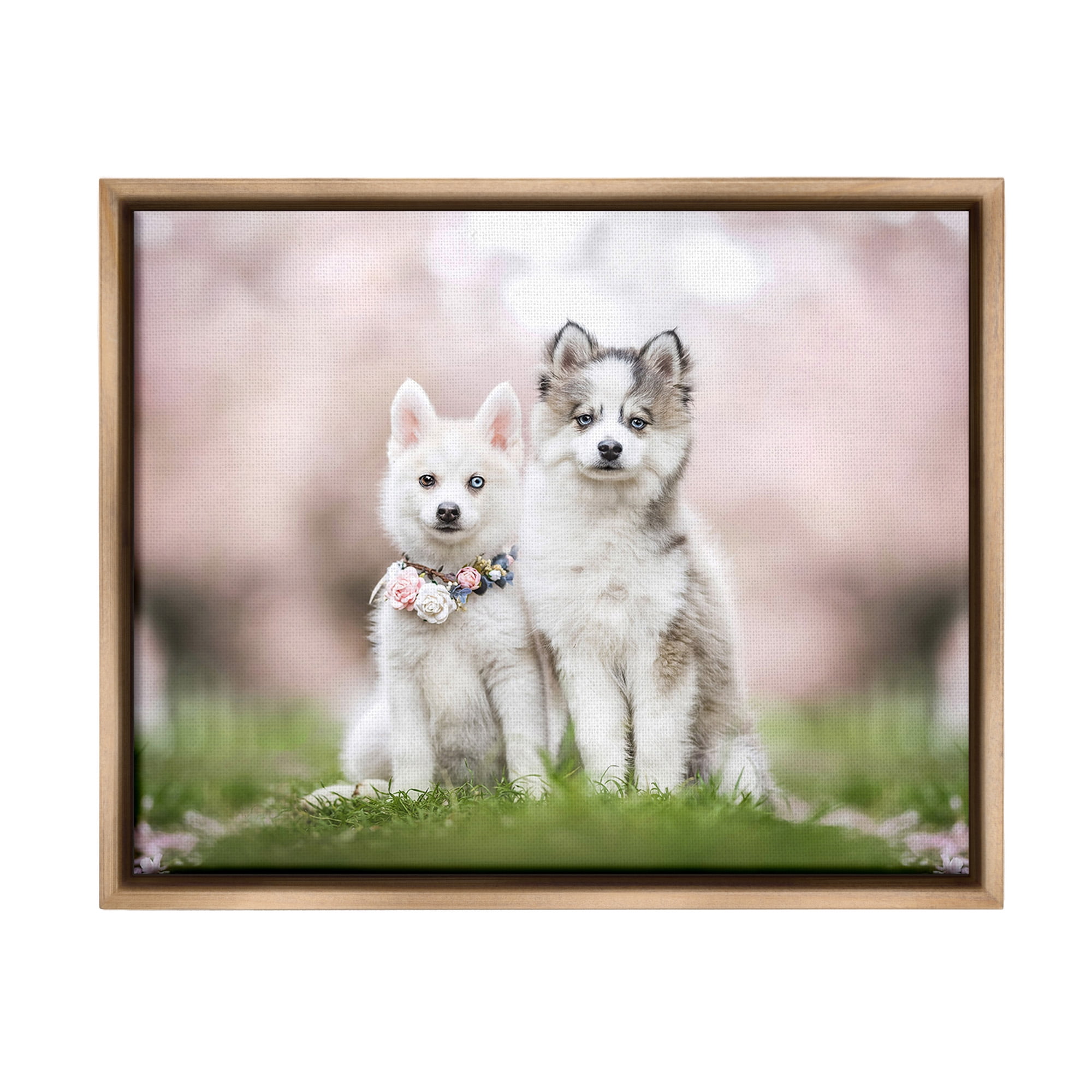 Stupell Industries Husky Puppies in Meadow Animals & Insects Painting Brown Floater Framed Canvas Art Print Wall Art, 31 x 25
