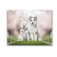 thumbnail image 1 of Stupell Industries Husky Puppies in Meadow Animals & Insects Painting Gallery Wrapped Canvas Art Print Wall Art, 20 x 16, 1 of 8